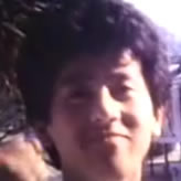 よせてはひく夏